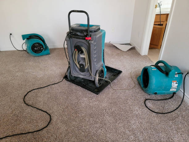 Best Flood damage cleanup  in Northfield, MN
