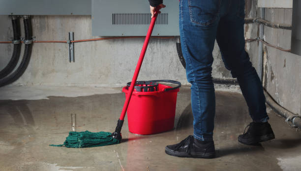 Best Water damage contractors near me  in Northfield, MN