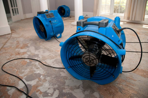 Best Residential water damage restoration  in Northfield, MN