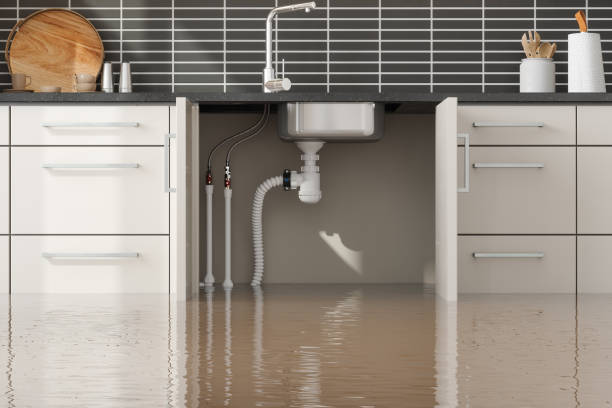 Best Emergency water damage restoration  in Northfield, MN